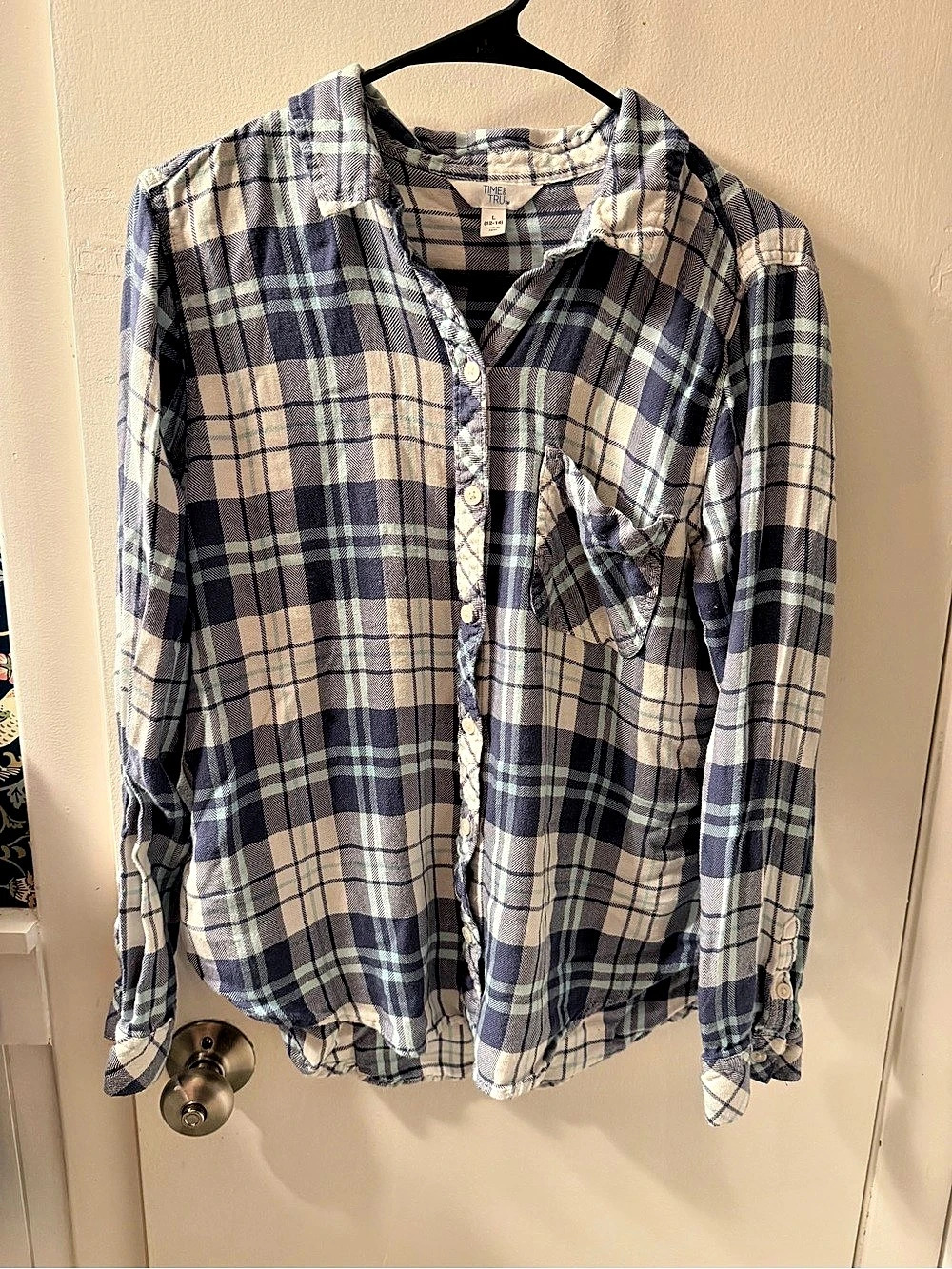 Time and Tru Plaid Button Down in Blue & White